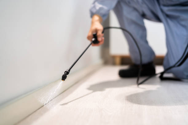 Licensed Termite Control service in Holly Hill, SC - Nex Pest Control