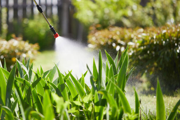 24/7 Emergency Termite Control experts in Holly Hill, SC