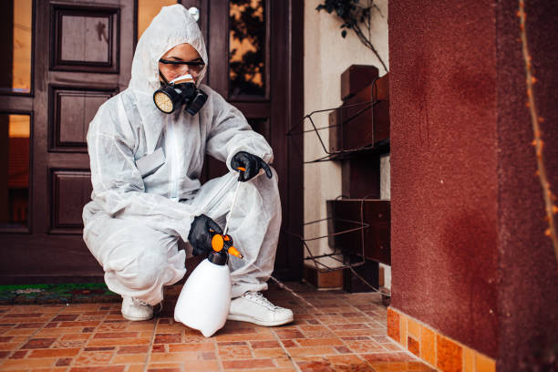 Reliable Termite Control contractor in Holly Hill, SC by Nex Pest Control
